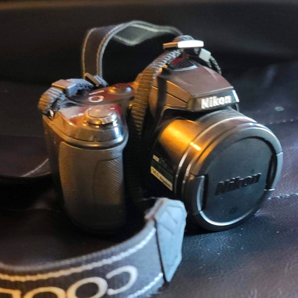 Nikon coolpix L310